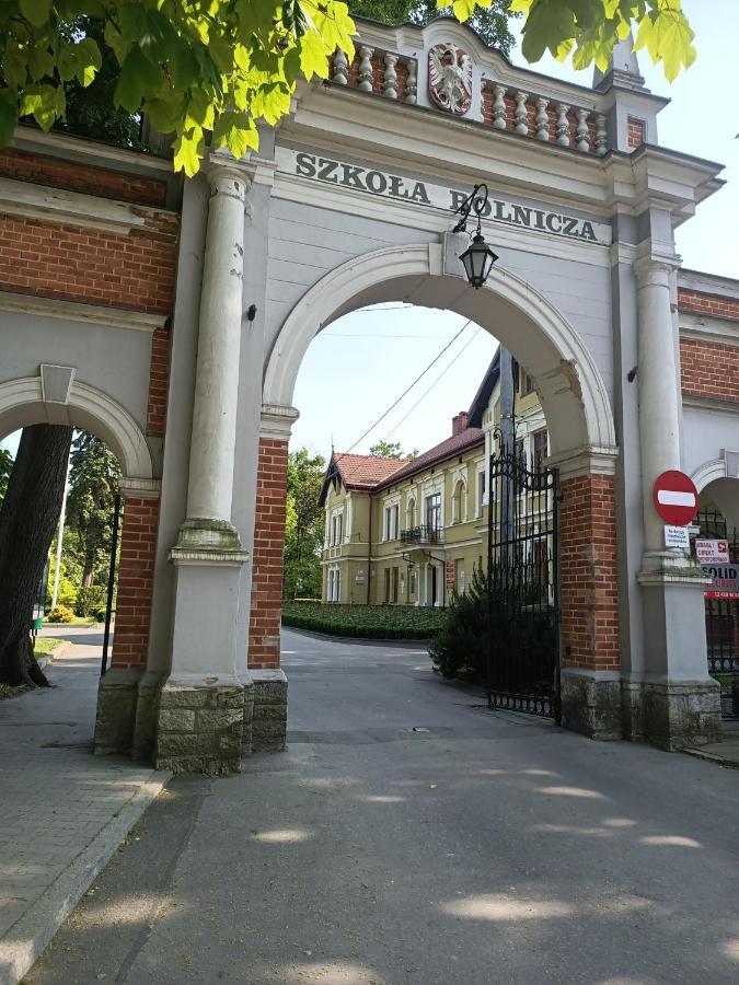 Apartament U Agaty Czernichow Krakow Zator Exteriér fotografie